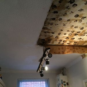 Ceiling-showing-water-damage-2