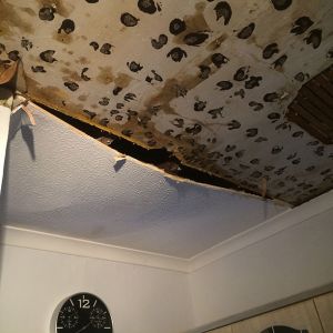 Damage-to-kitchen-ceiling-1